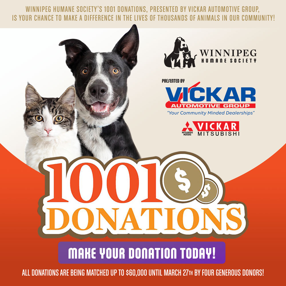 Winnipeg Humane Society